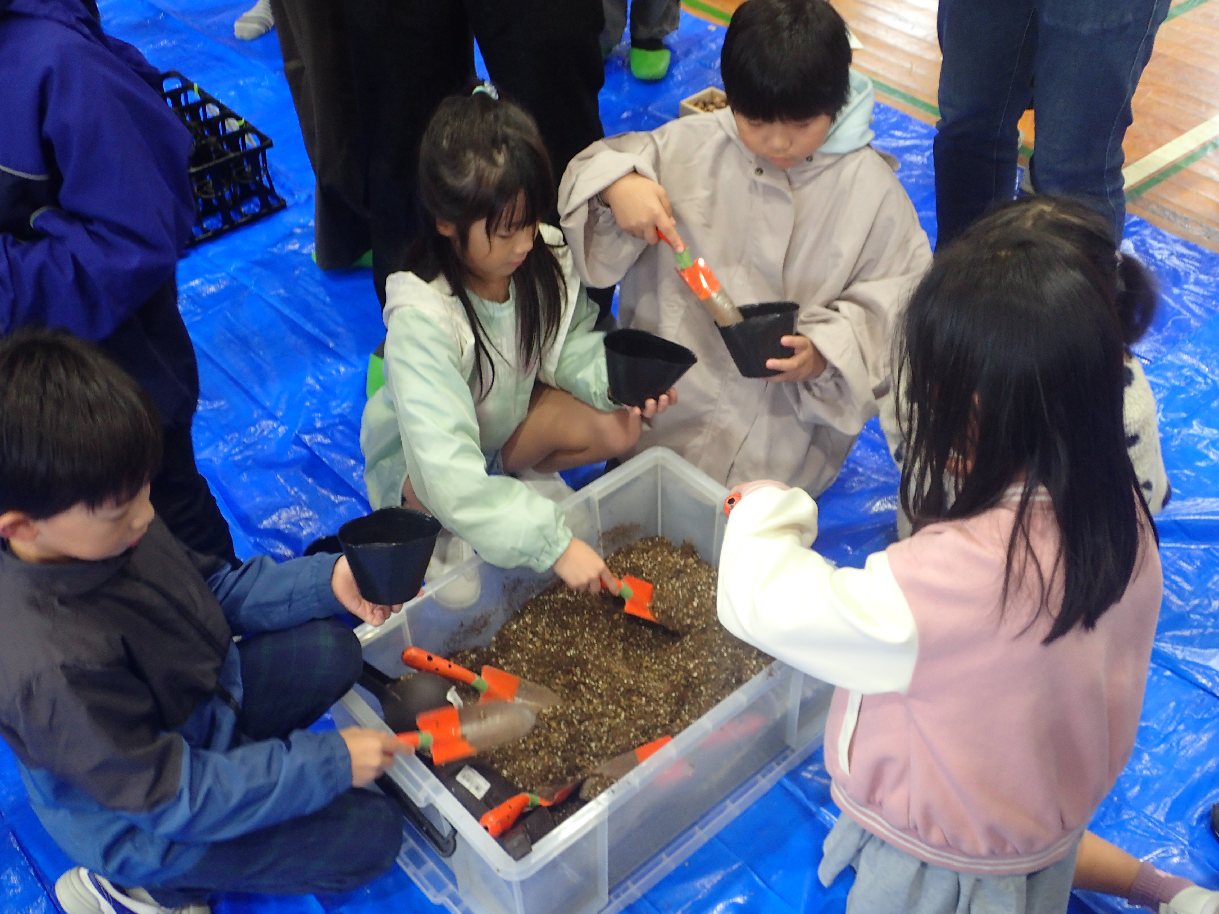 【ポットへの土詰め】